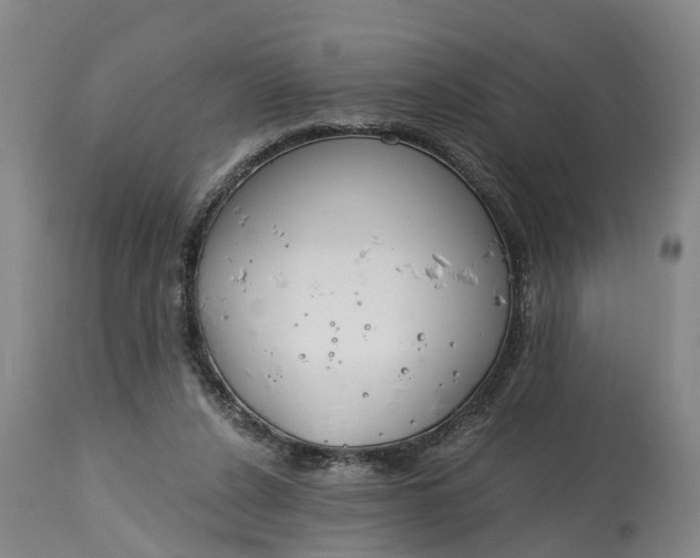 X0000115000256200911091405