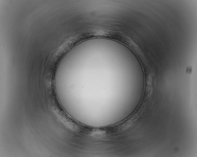 X0000115000257200911091405