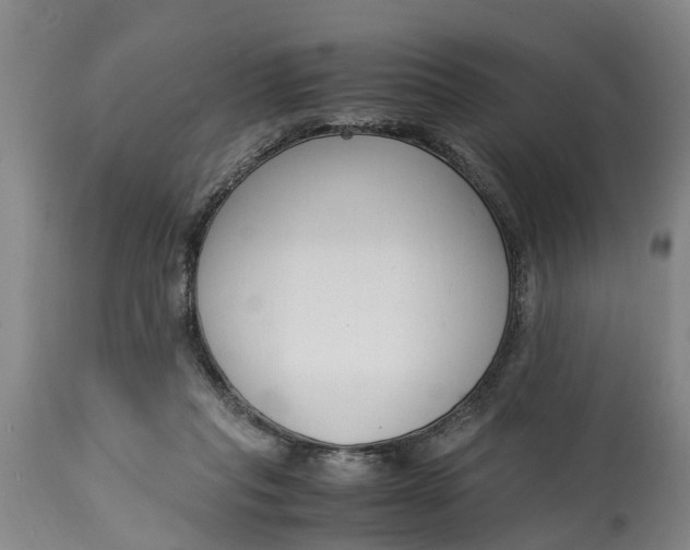 X0000115000261200911091405