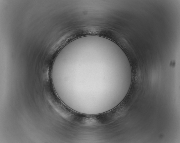 X0000115000262200911091405