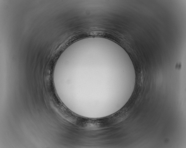 X0000115000263200911091405