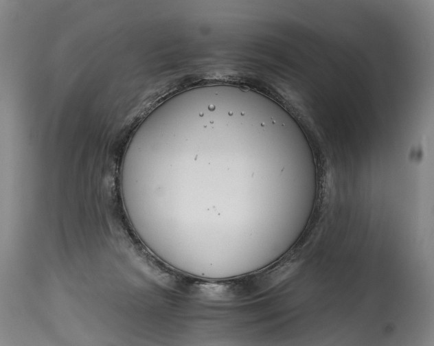 X0000115000265200911091405