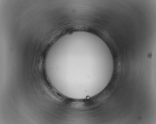 X0000115000266200911091405
