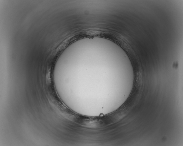 X0000115000267200911091405