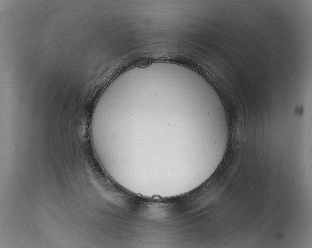 X0000115000268200911091405