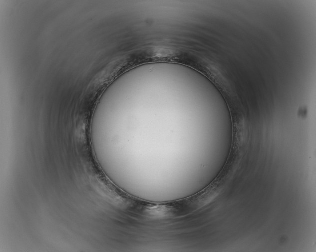 X0000115000269200911091405
