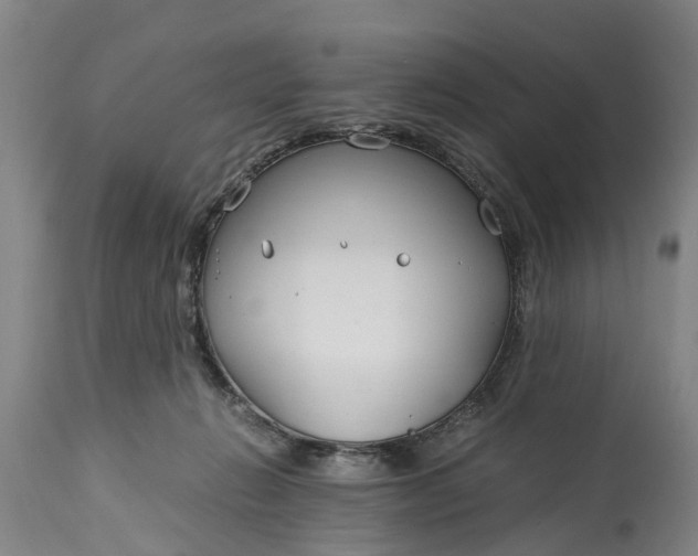 X0000115000270200911091405
