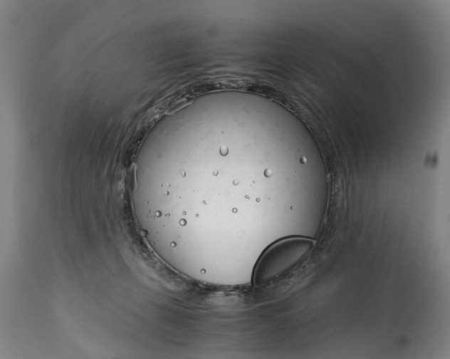 X0000115000271200911091405