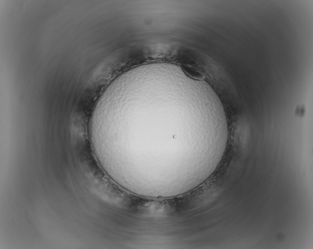 X0000115000272200911091405