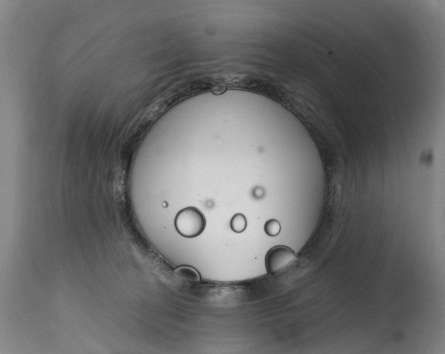 X0000115000274200911091405