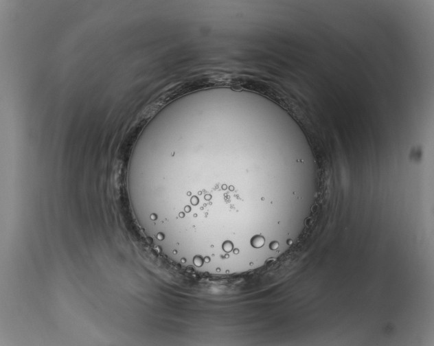X0000115000275200911091405