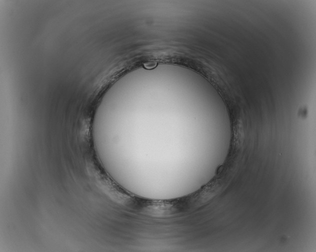X0000115000278200911091405
