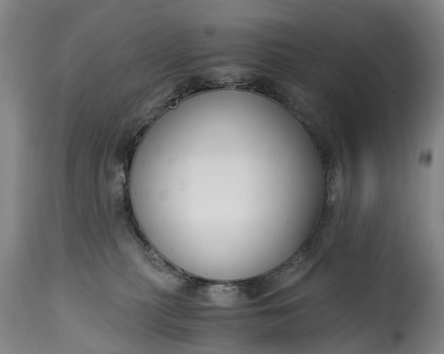 X0000115000279200911091405