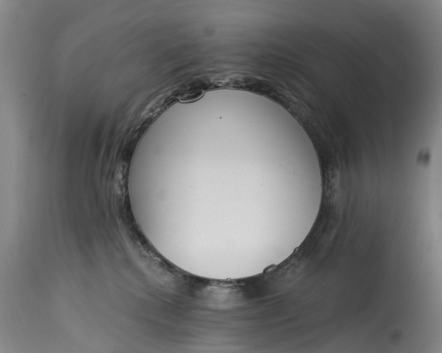 X0000115000280200911091405