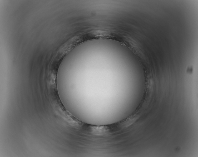 X0000115000281200911091405