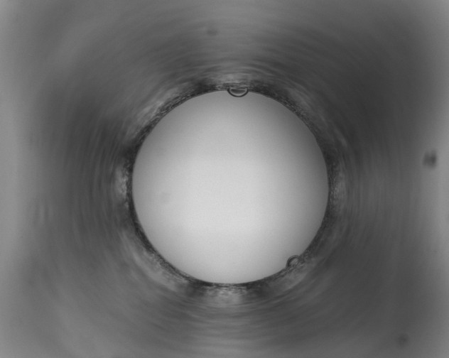 X0000115000282200911091405