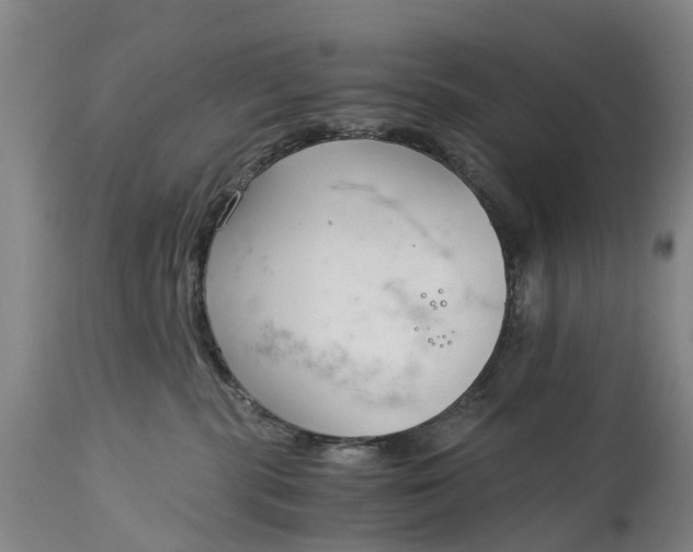X0000115000283200911091405