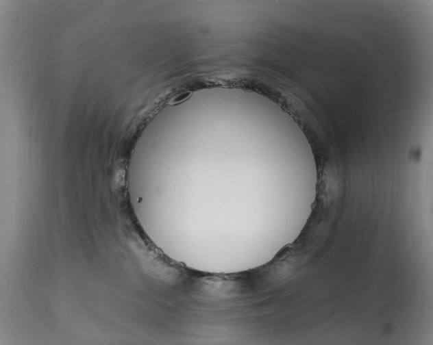 X0000115000284200911091405