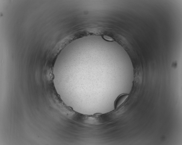 X0000115000285200911091405