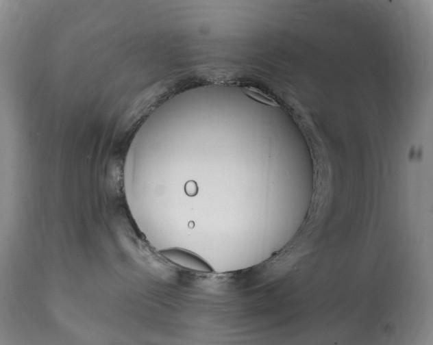 X0000115000288200911091405