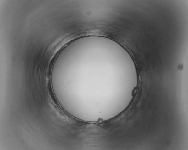 X0000115000290200911091404