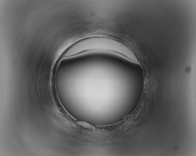 X0000115000292200911091404