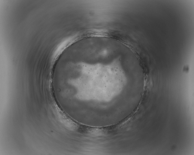 X0000115000293200911091404