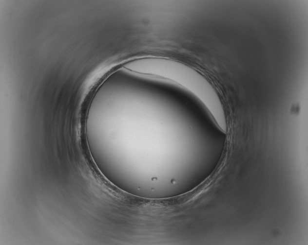 X0000115000294200911091404
