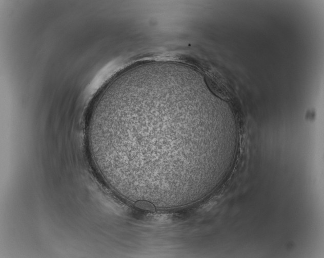 X0000115000295200911091404