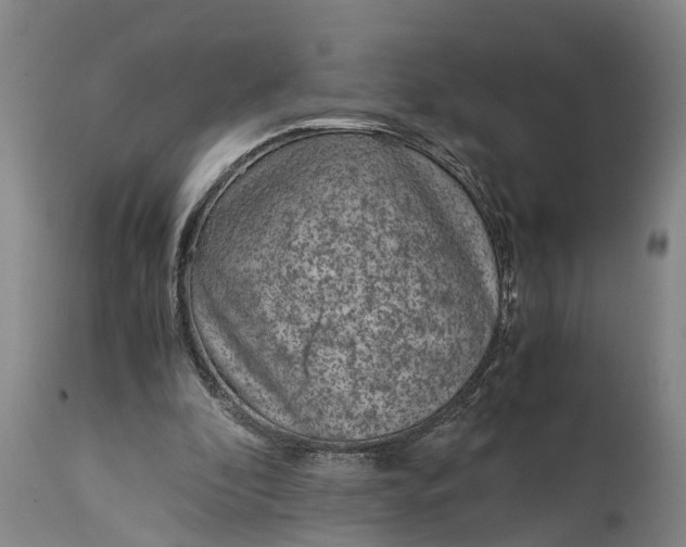X0000115000296200911091404