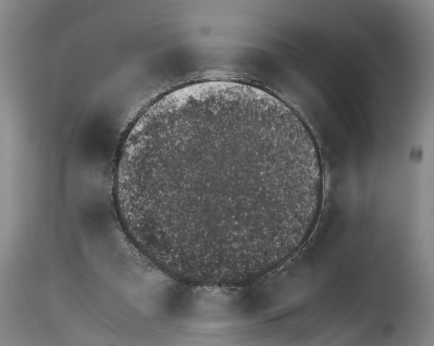 X0000115000297200911091404