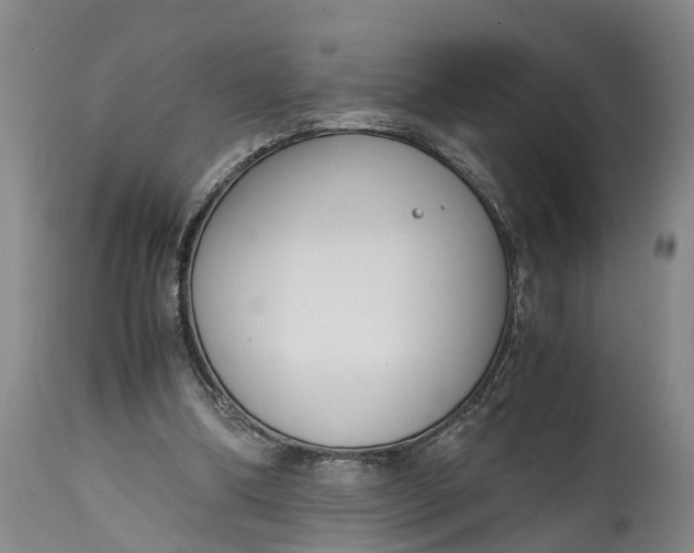 X0000115000298200911091404