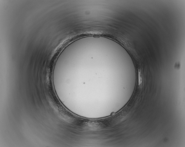 X0000115000300200911091404