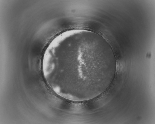 X0000115000301200911091404