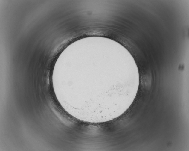 X0000115000302200911091404