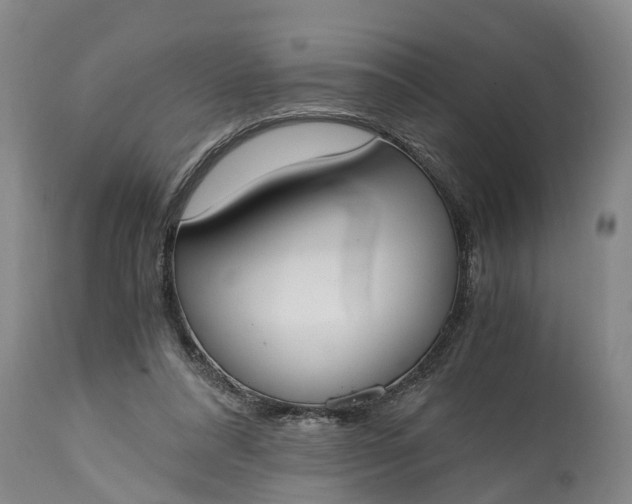 X0000115000304200911091404