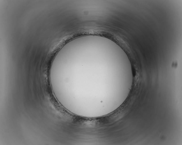 X0000115000306200911091404