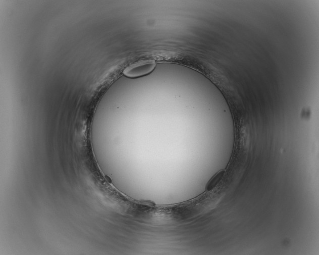 X0000115000308200911091404