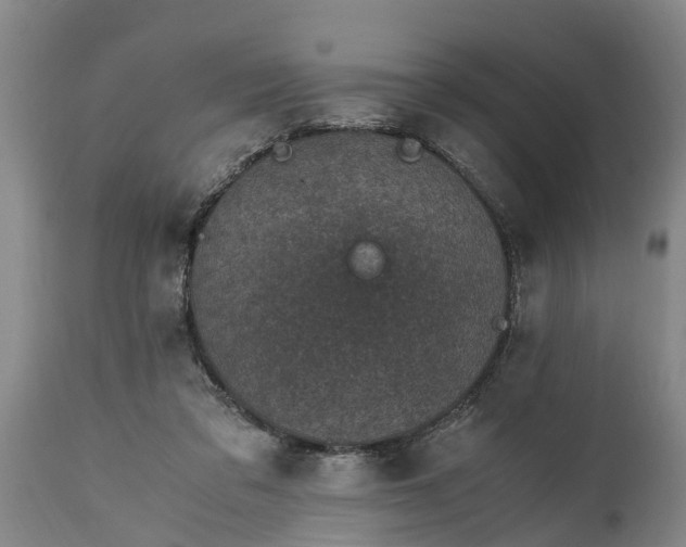 X0000115000309200911091404