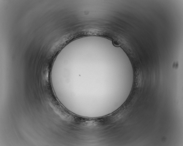 X0000115000310200911091404