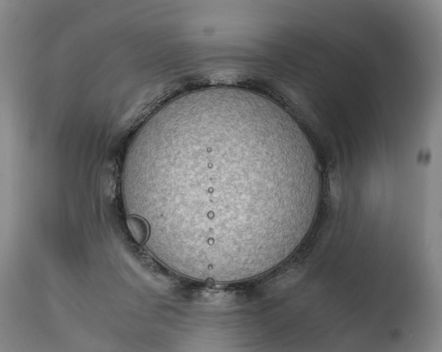 X0000115000311200911091404