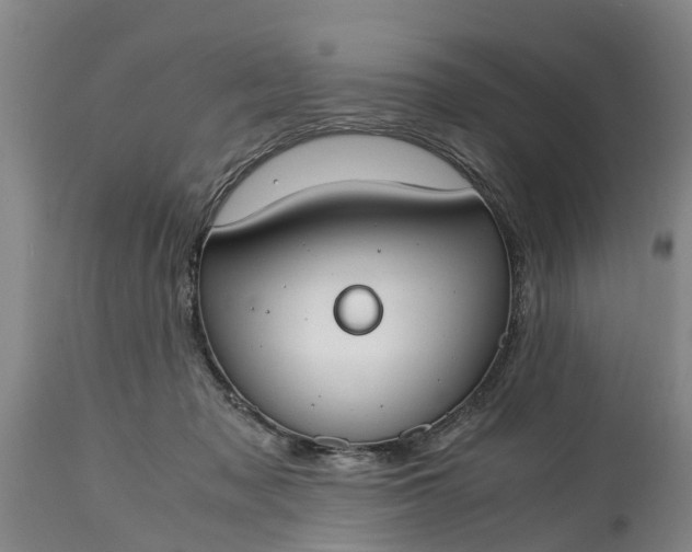 X0000115000317200911091404