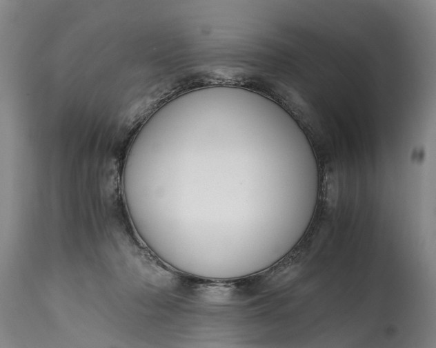 X0000115000318200911091404