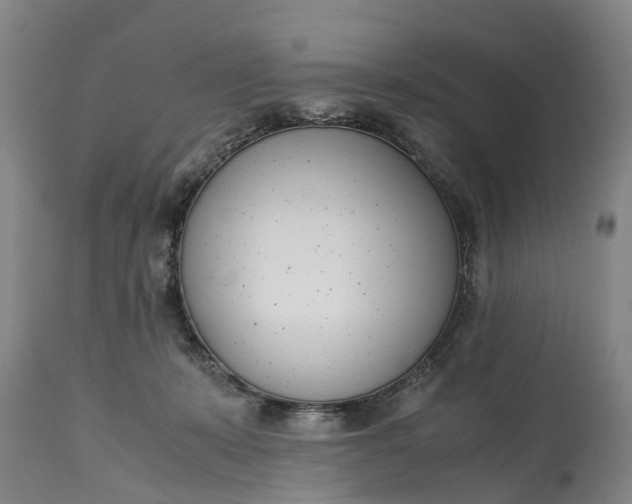 X0000115000319200911091404