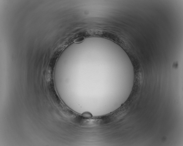 X0000115000323200911091404