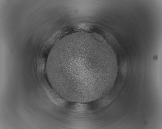 X0000115000328200911091404