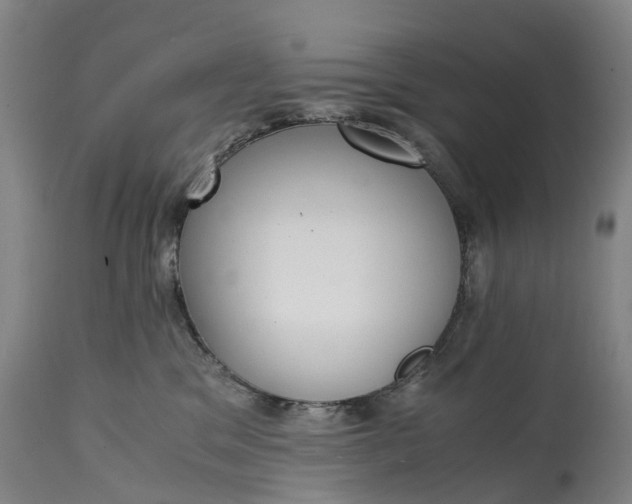 X0000115000329200911091404