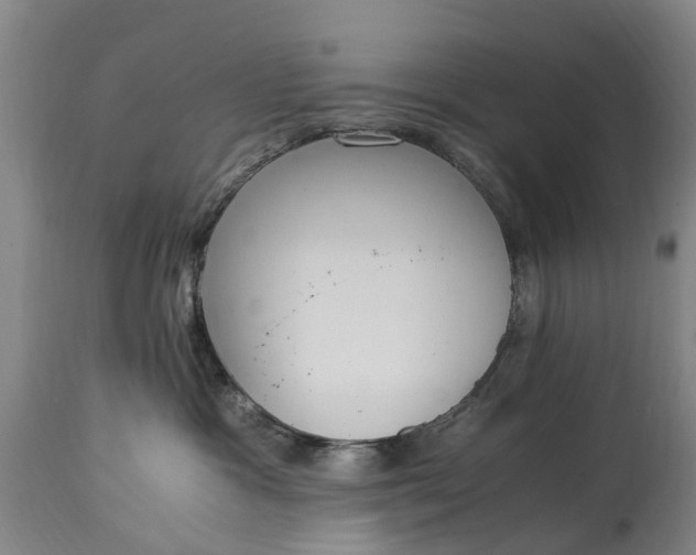 X0000115000333200911091404