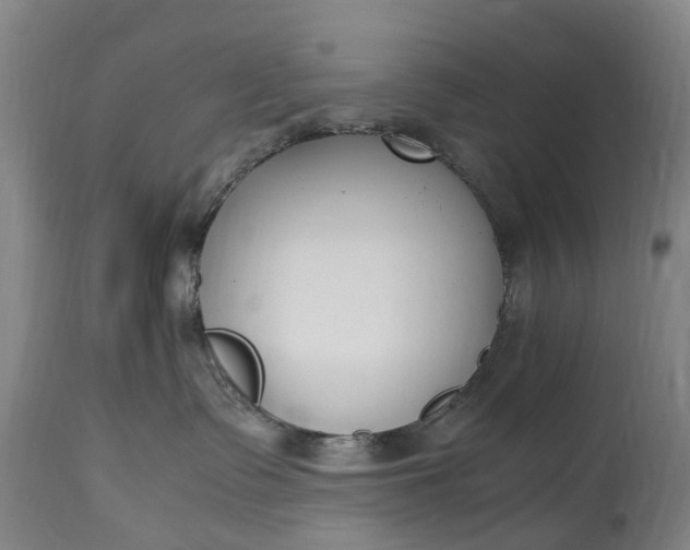 X0000115000335200911091404