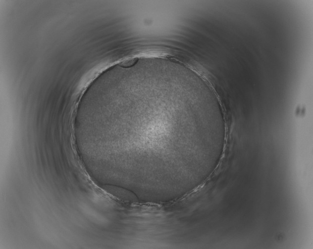 X0000115000337200911091403